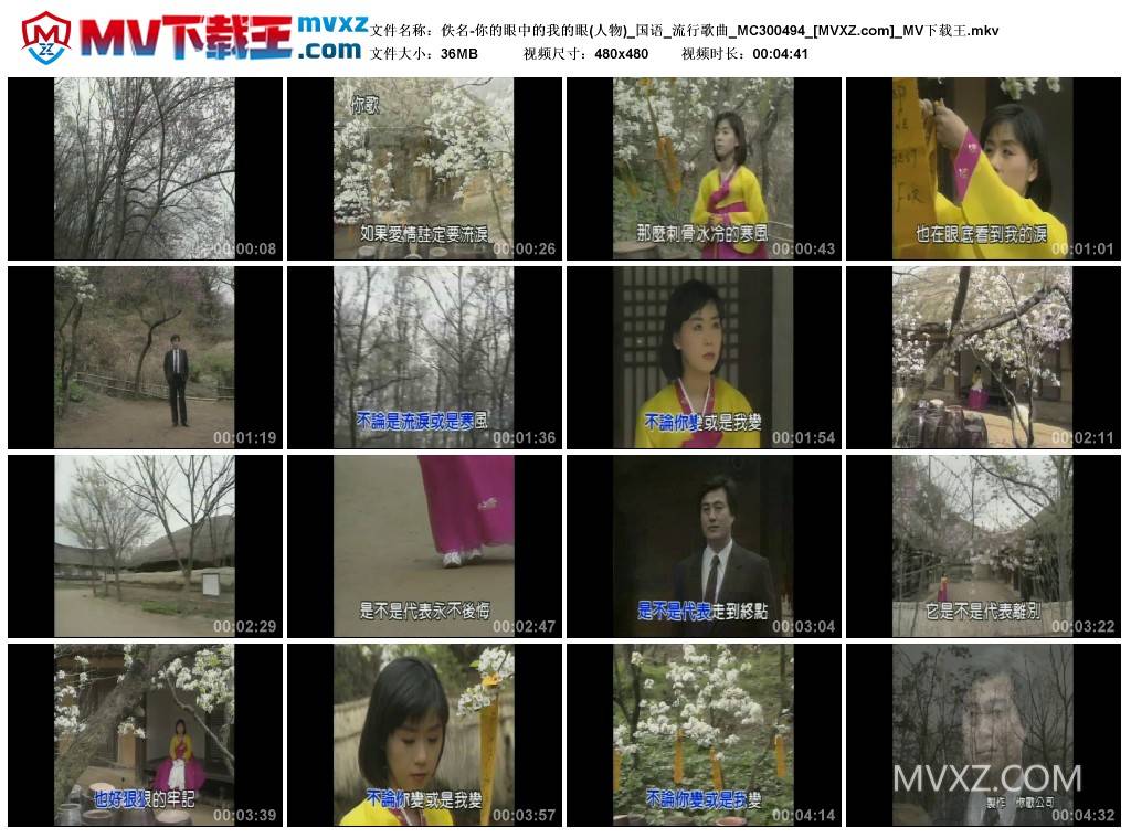 佚名-你的眼中的我的眼(人物)_国语_流行歌曲_MC300494